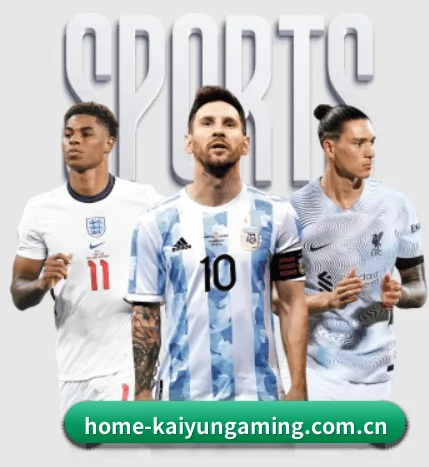 开云电竞app APP（KAIYUN ESPORTS）